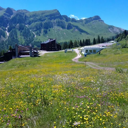 Apartament Piccolo Igloo Falcade
