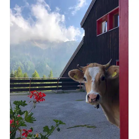 Piccolo Igloo شقة