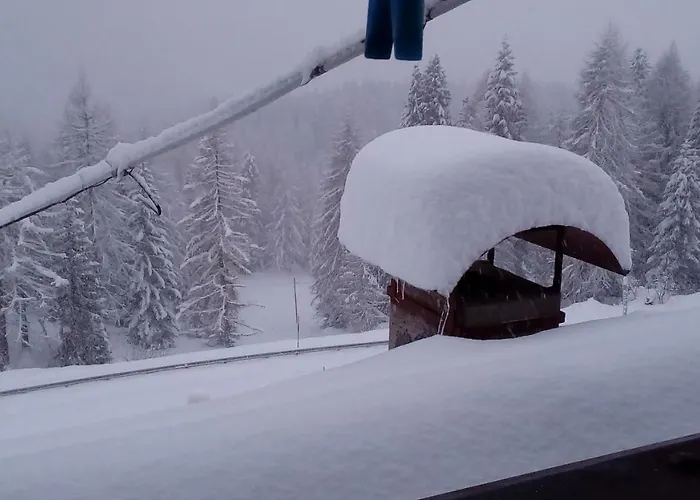 Appartamento Piccolo Igloo