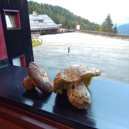 Piccolo Igloo Apartmán Falcade