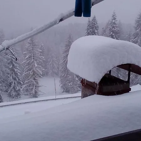 Διαμέρισμα Piccolo Igloo