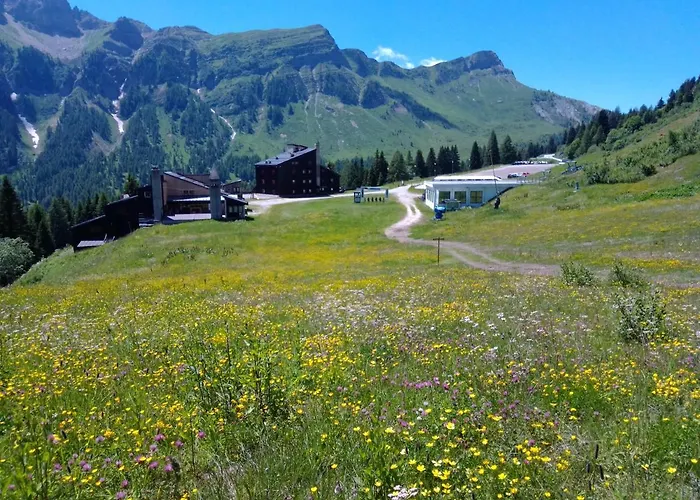 Apartament Piccolo Igloo Falcade