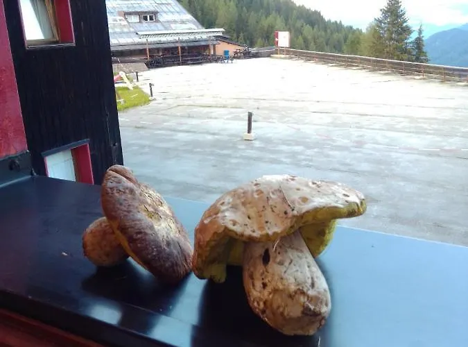 Piccolo Igloo Lägenhet Falcade