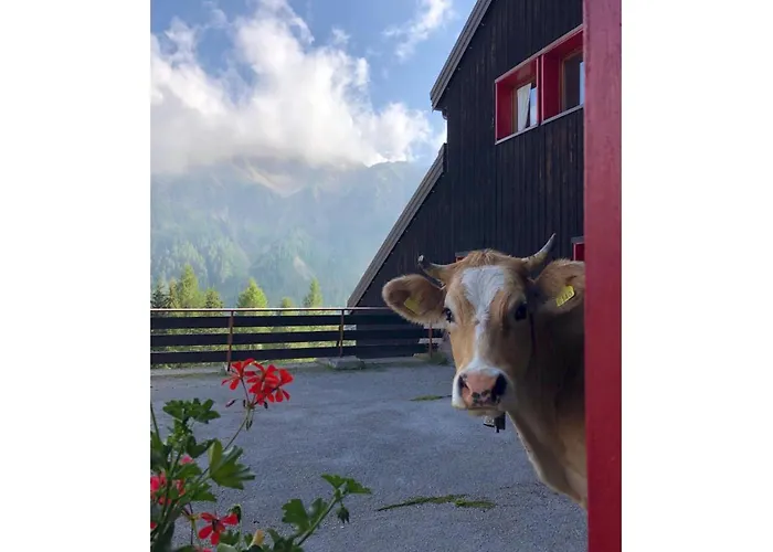 Piccolo Igloo Lägenhet